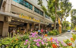 Lucky Plaza (D9), Retail #519146801